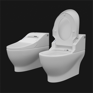 Smart Toilet